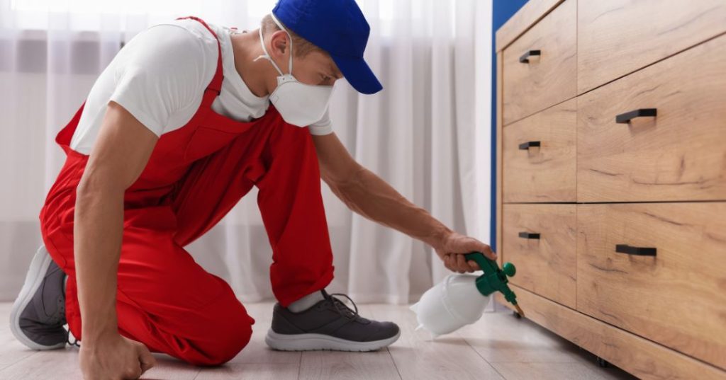 capa dedetizacao em Olinda